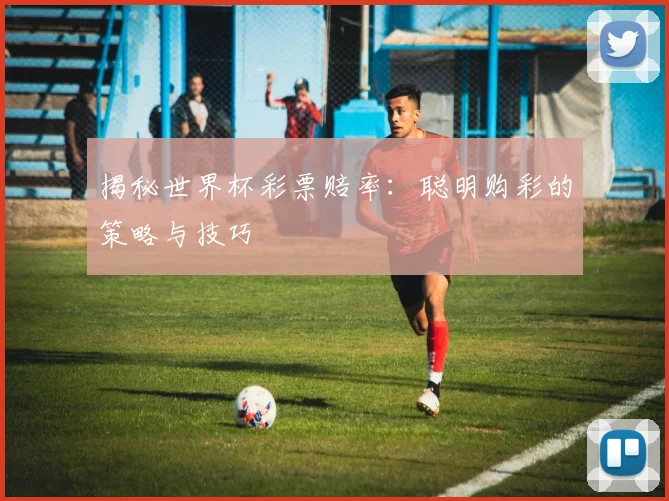 揭秘世界杯彩票赔率：聪明购彩的策略与技巧