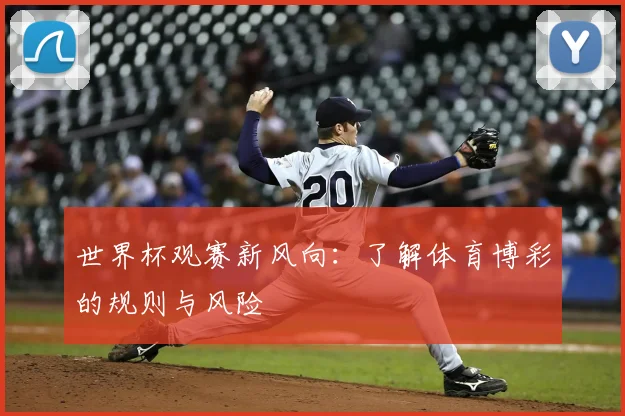 世界杯观赛新风向:了解体育博彩的规则与风险