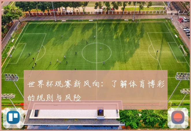世界杯观赛新风向:了解体育博彩的规则与风险