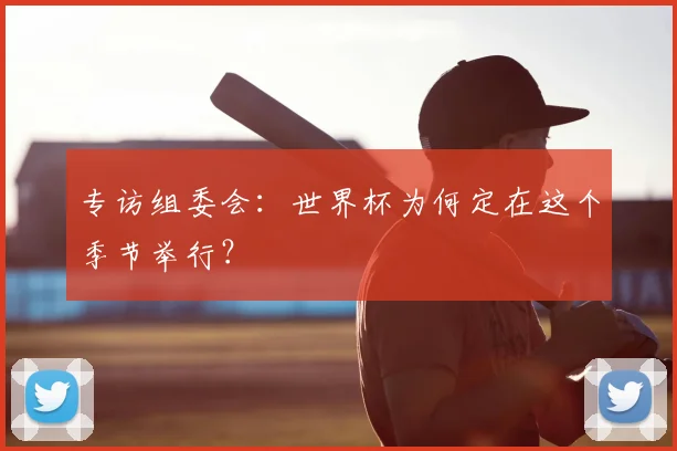专访组委会:世界杯为何定在这个季节举行?
