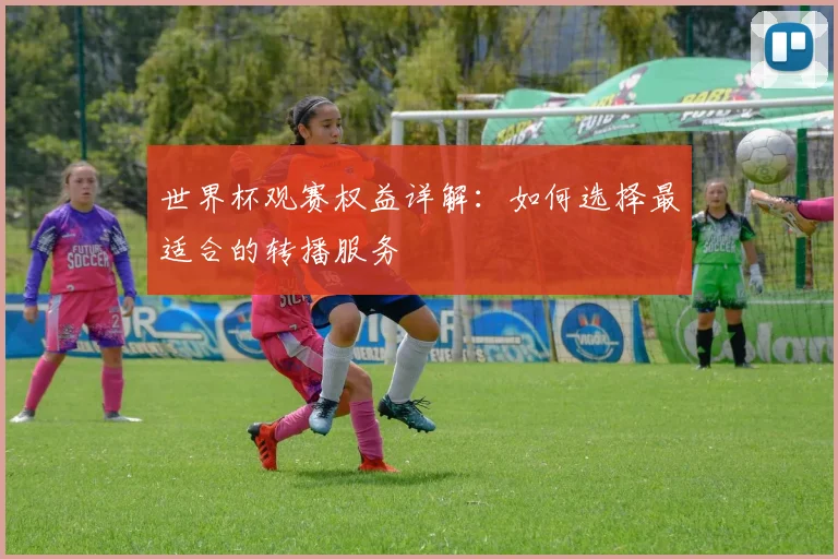 世界杯观赛权益详解:如何选择最适合的转播服务
