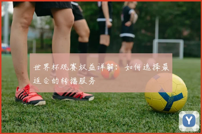 世界杯观赛权益详解:如何选择最适合的转播服务