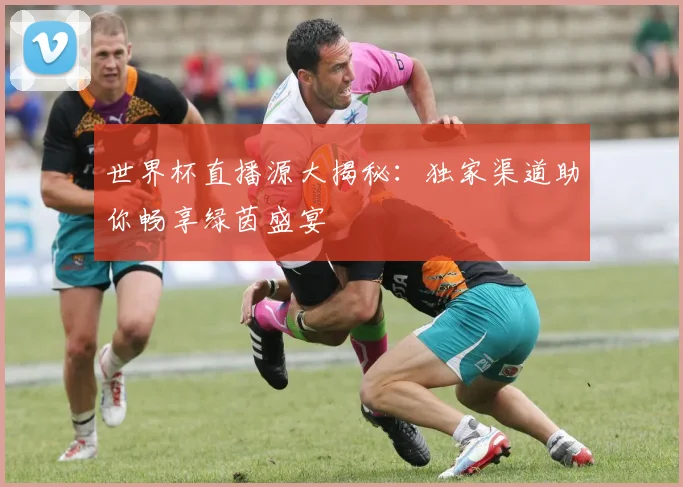 世界杯直播源大揭秘:独家渠道助你畅享绿茵盛宴