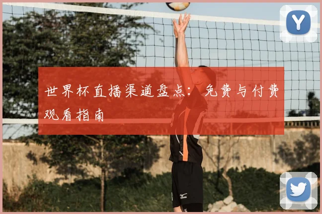 世界杯直播渠道盘点：免费与付费观看指南